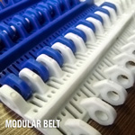 Modular Belt